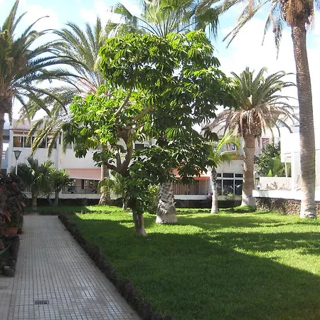 Elana With Free Wifi Apartament Costa Del Silencio
